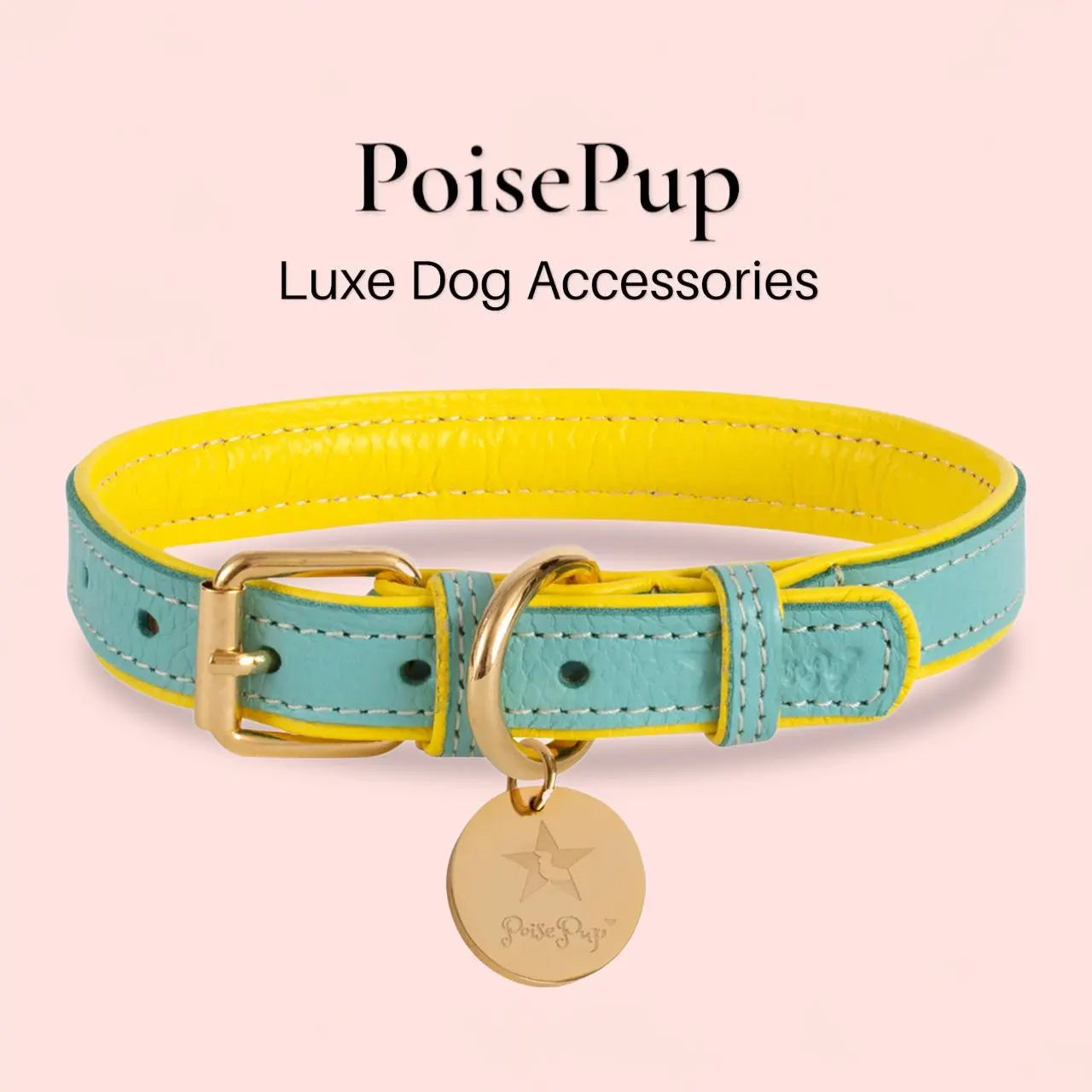 Handcrafted Leather Dog Collar
