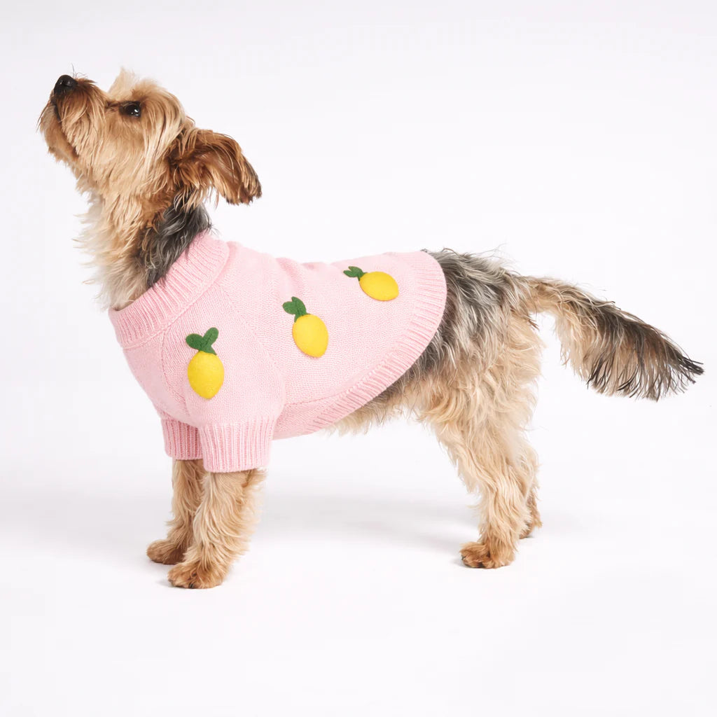 Lemon Sweater