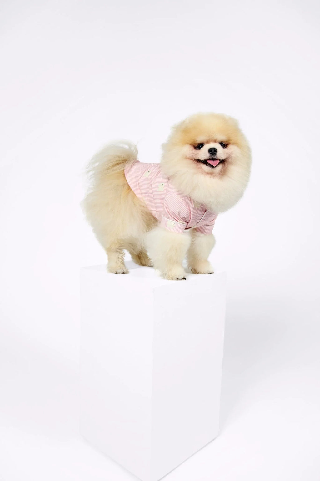 Pomeranian Dog Pajama Shirt – Pink & White