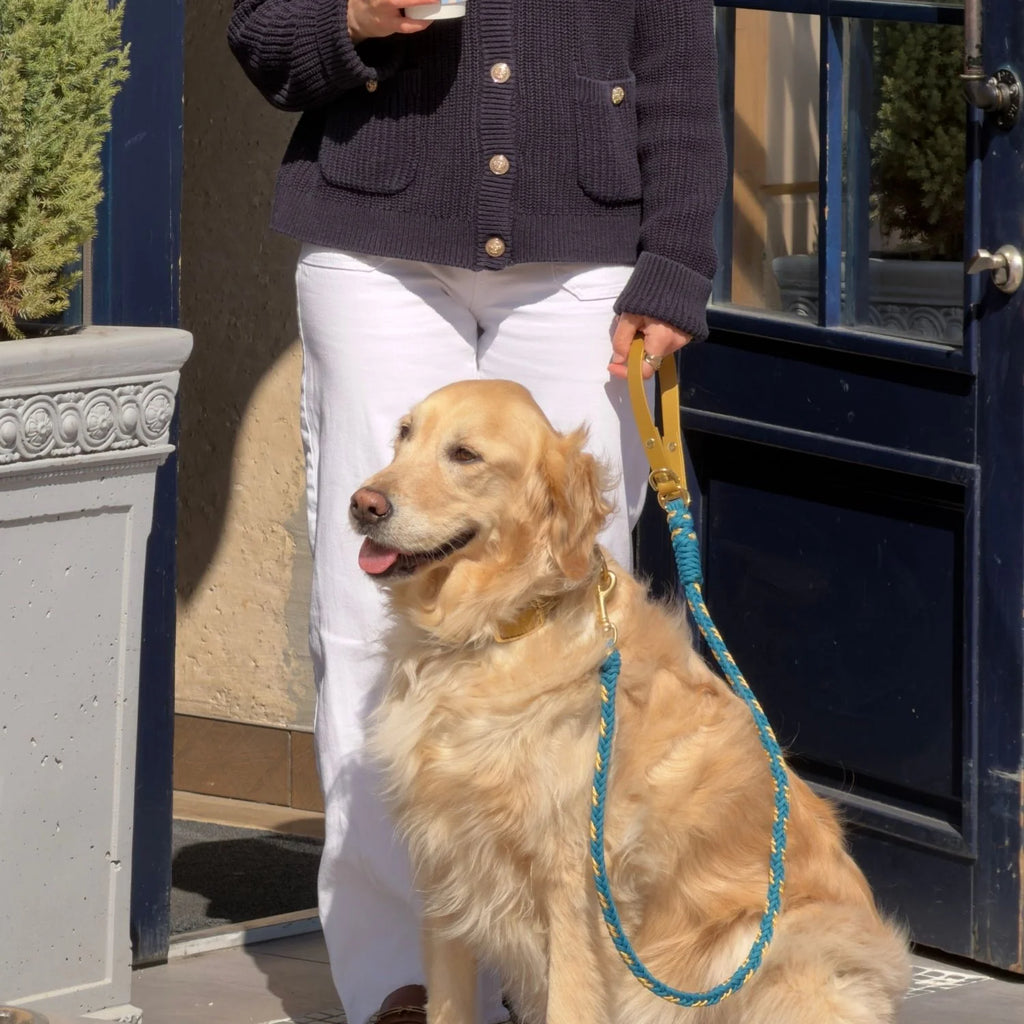 Flor Greece Blue Leash