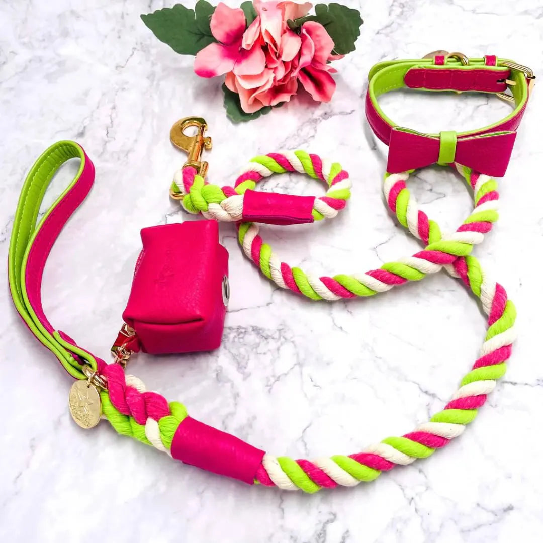 The Braided Rope Leather-Handle Leash
