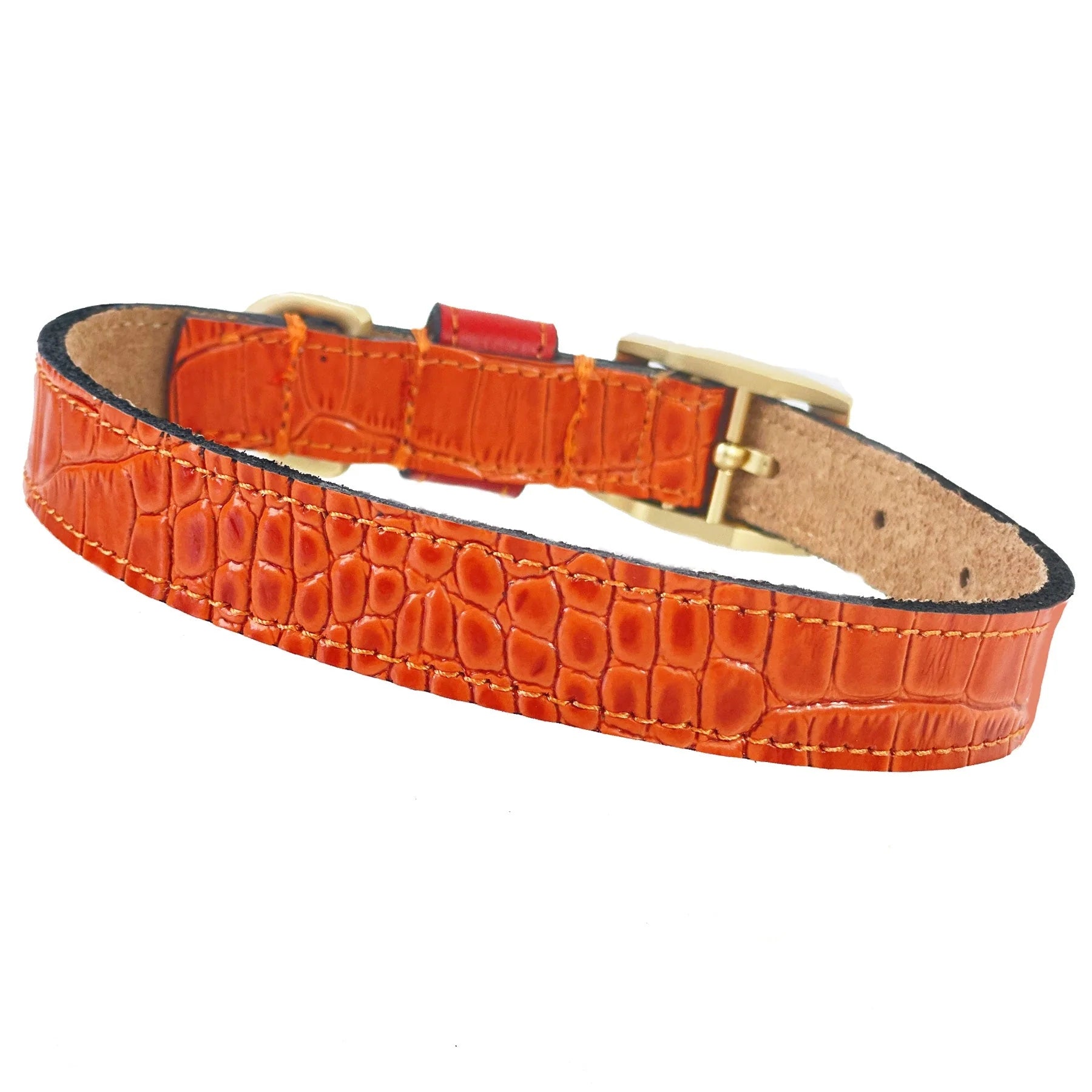 Cayman Dog Collar in Tangerine