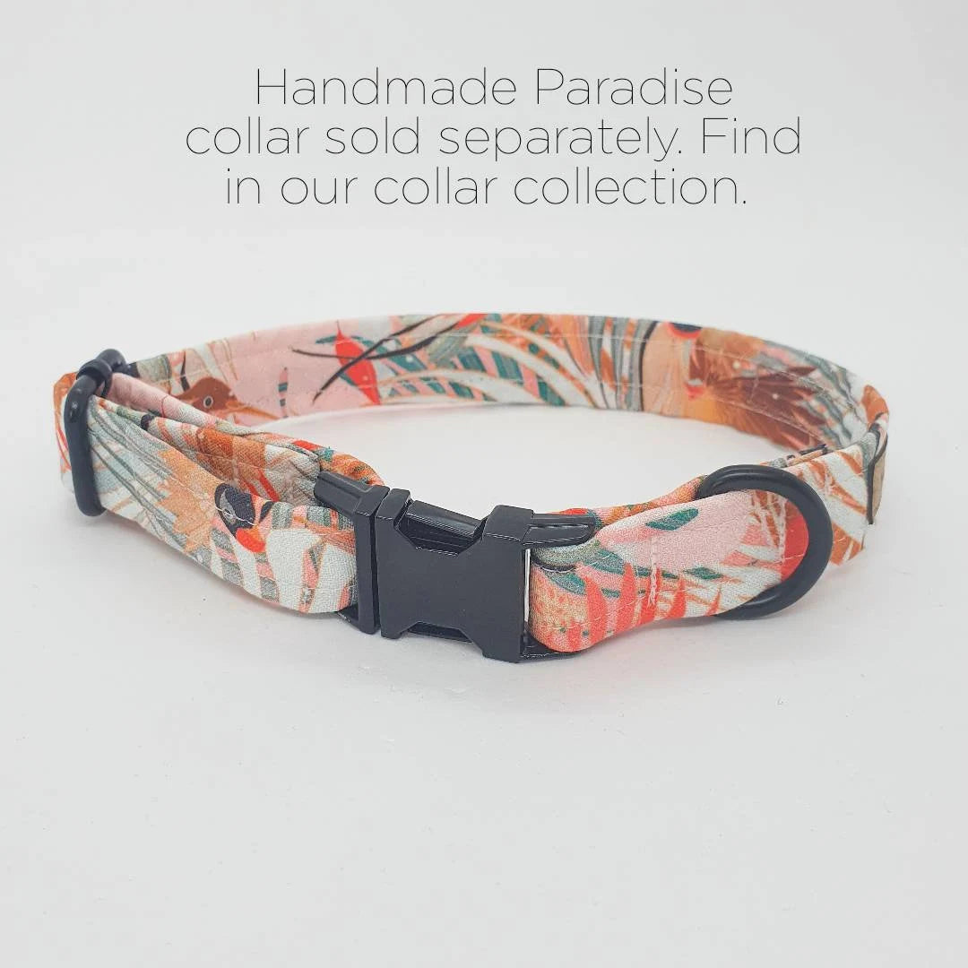 Paradise Designer Dog Harness Set
