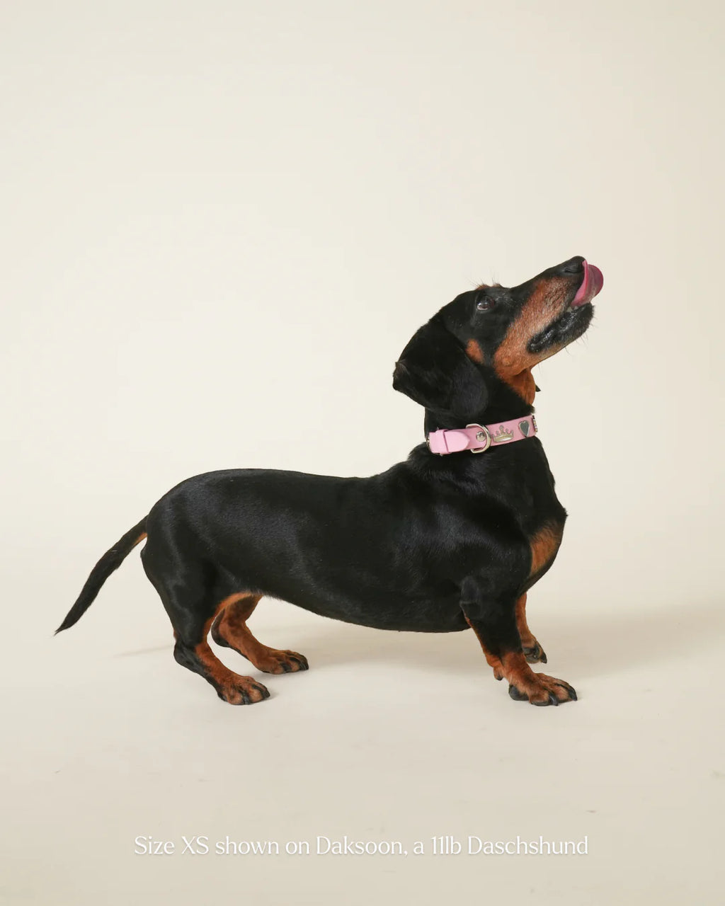 Princess Collar