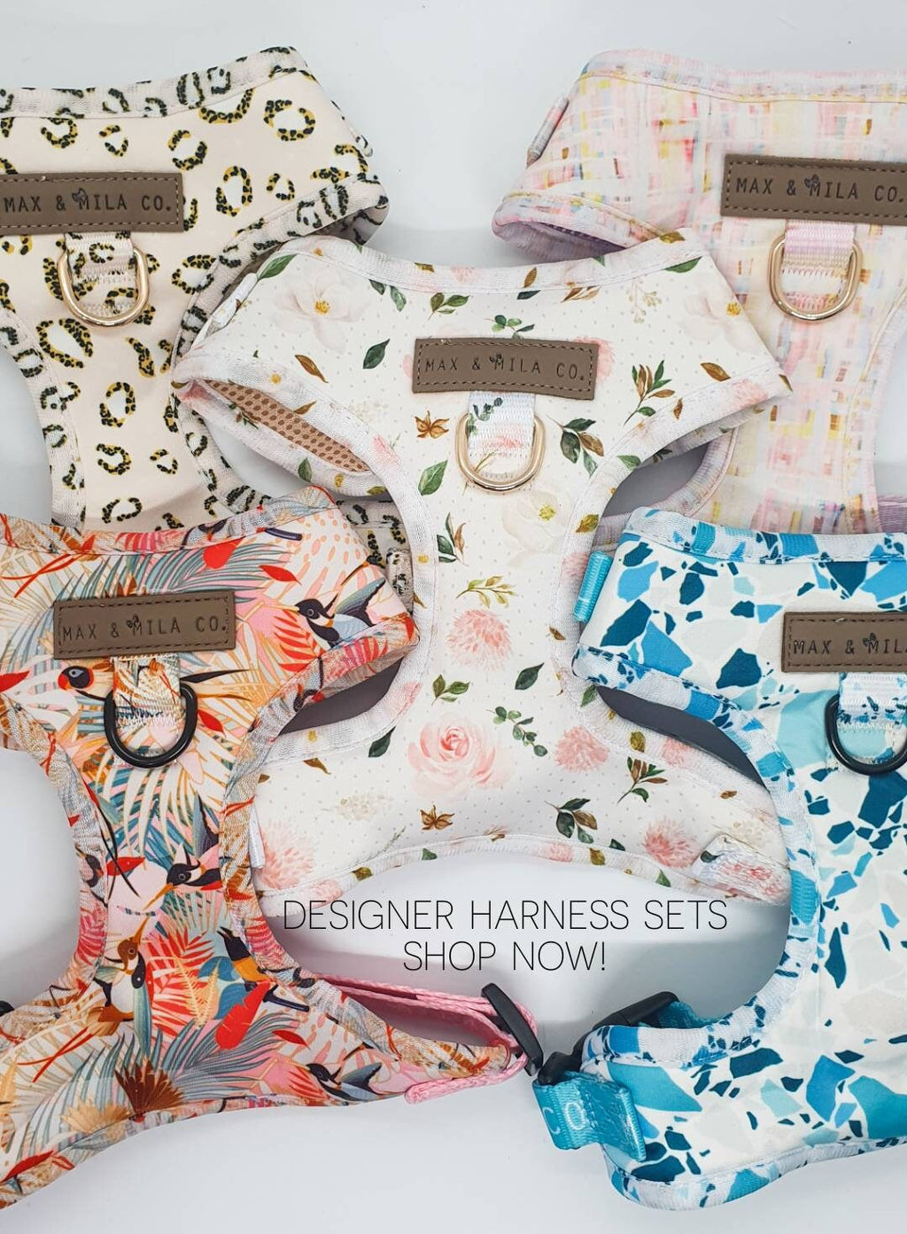 La Vie En Rose Designer Dog Harness Set