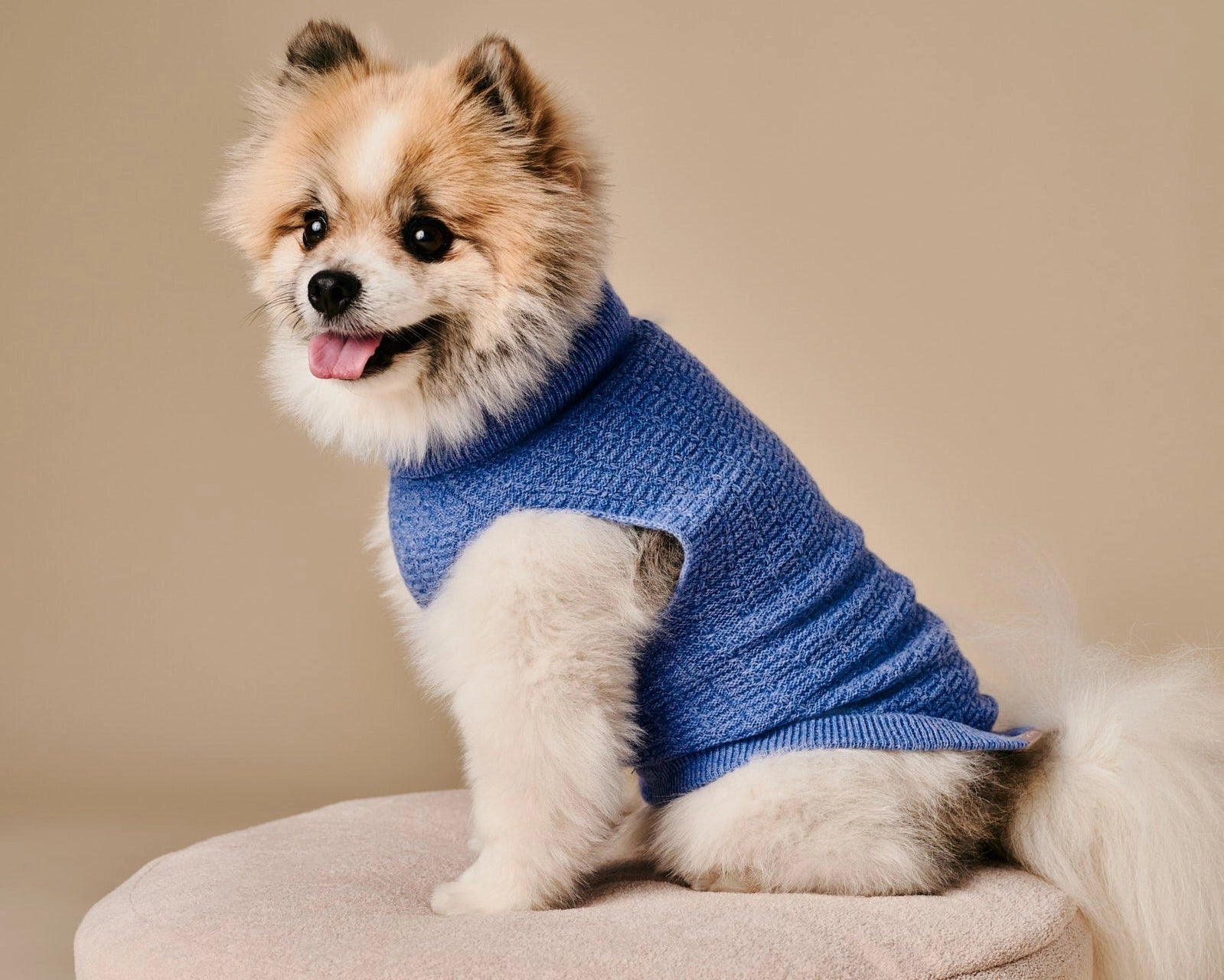 Coco Sweater – Blue