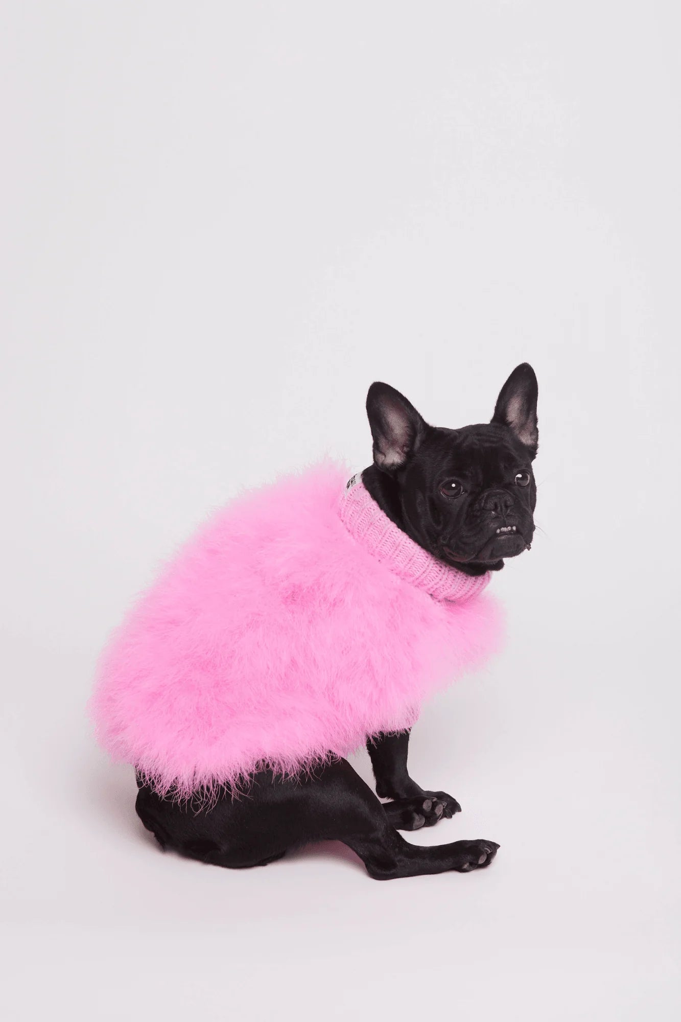 Christian Cowan X Maxbone Jumper