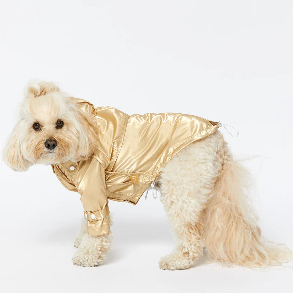 Raincoat - Gold