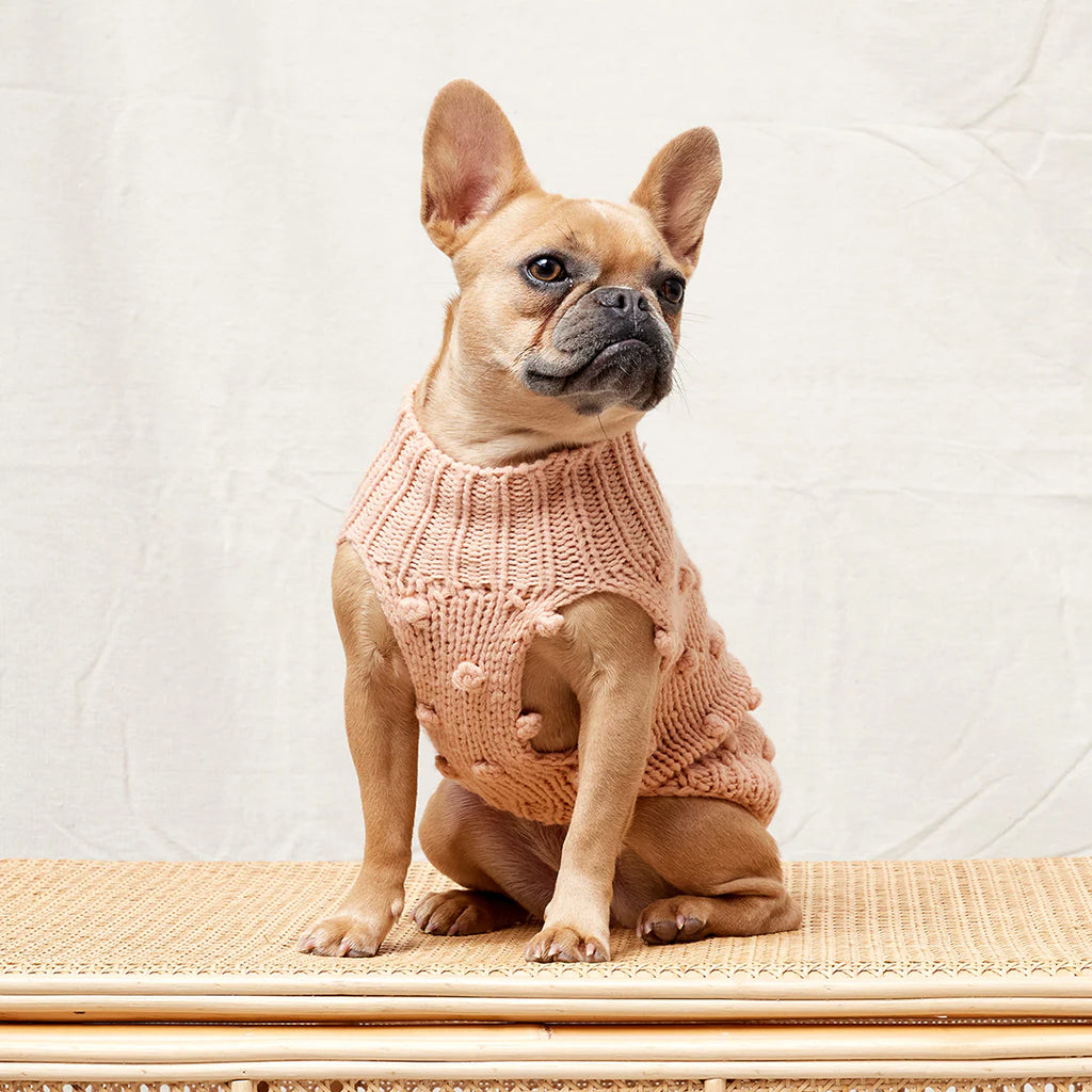 Merino Wool Bobble Knit Dog Sweater - Blush