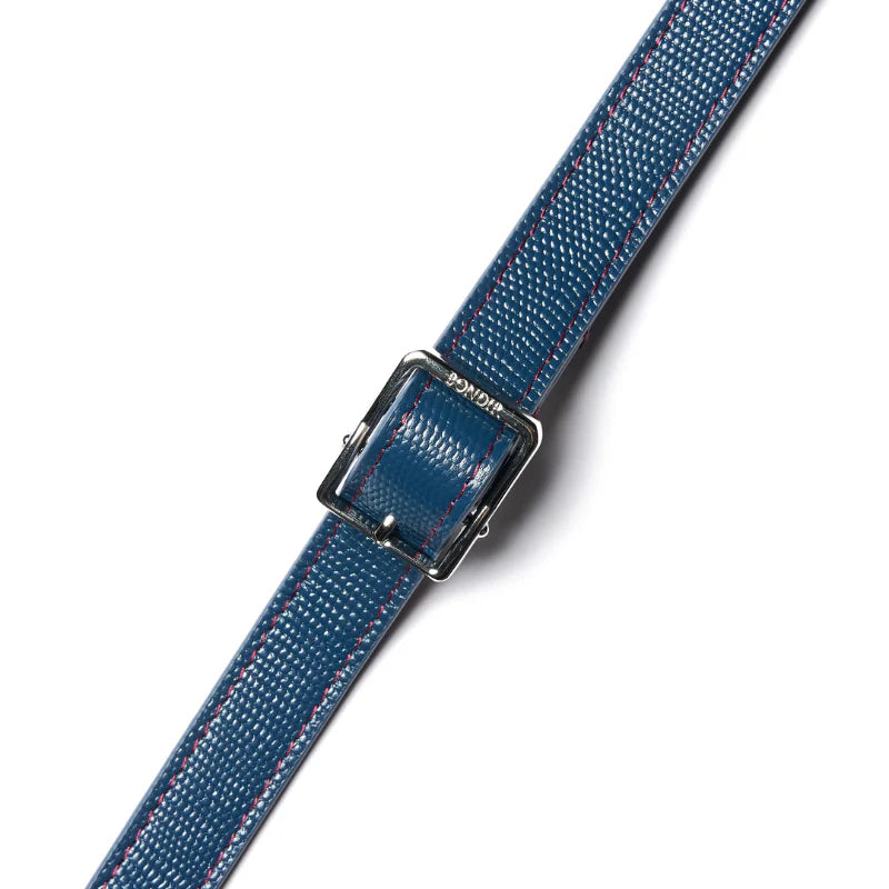 Rosette Leather Dog Leash