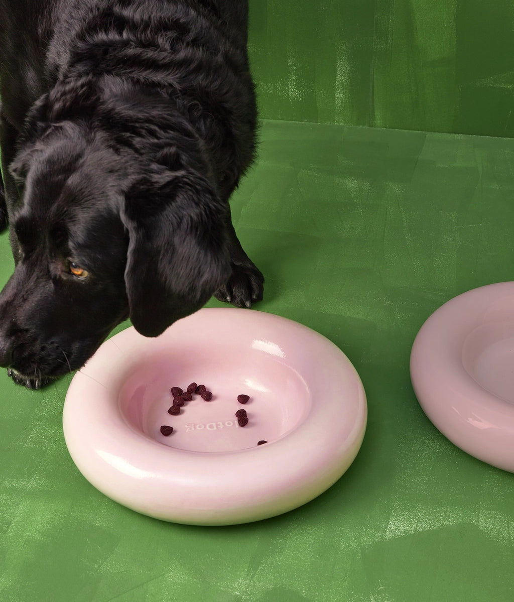 Pink ceramic bowl