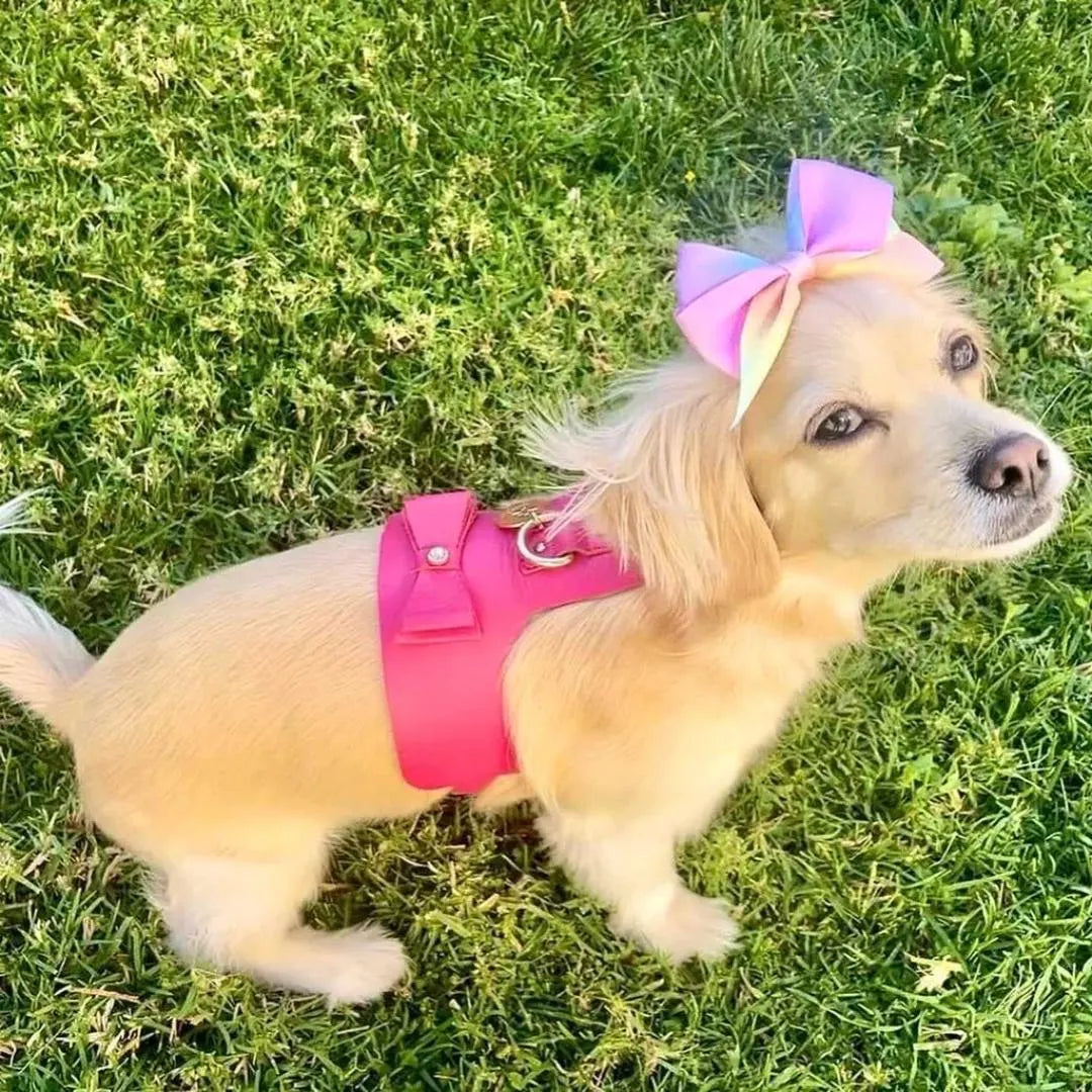 Handcrafted Leather Harness