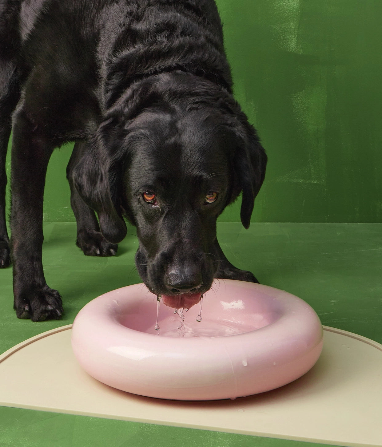 Pink ceramic bowl