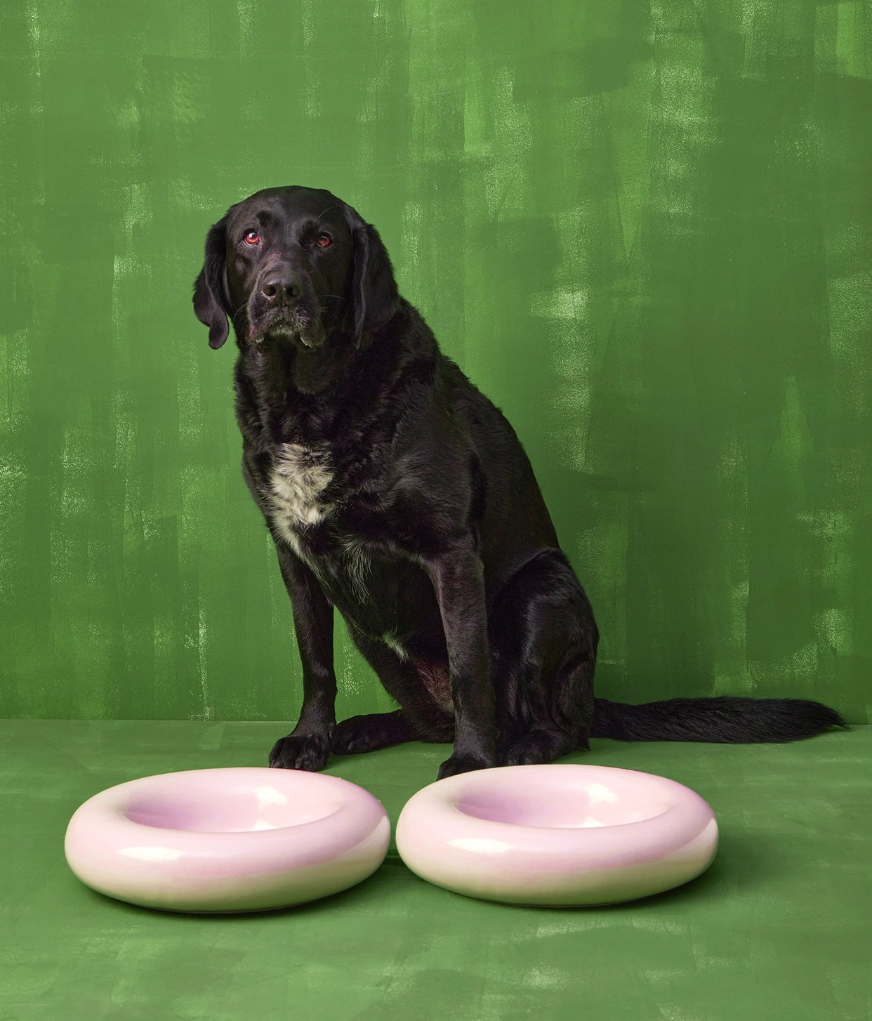 Pink ceramic bowl