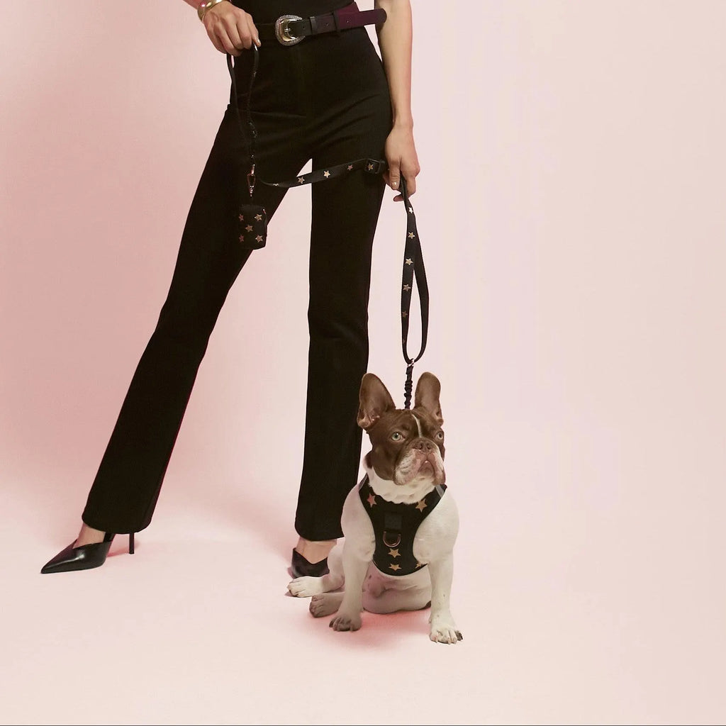 Soho Dog Walking Set - Rockstar