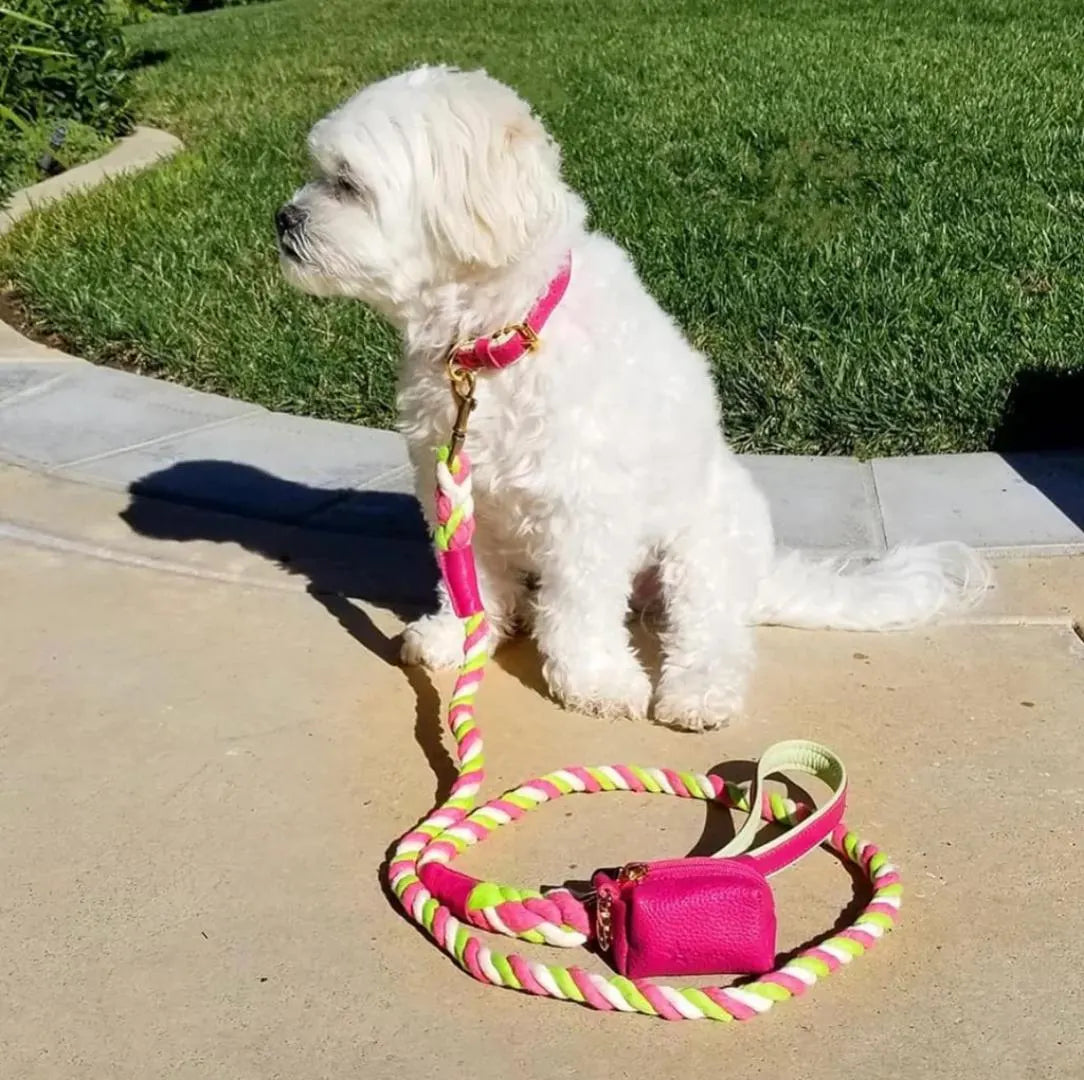 Handcrafted Leather Dog Collar