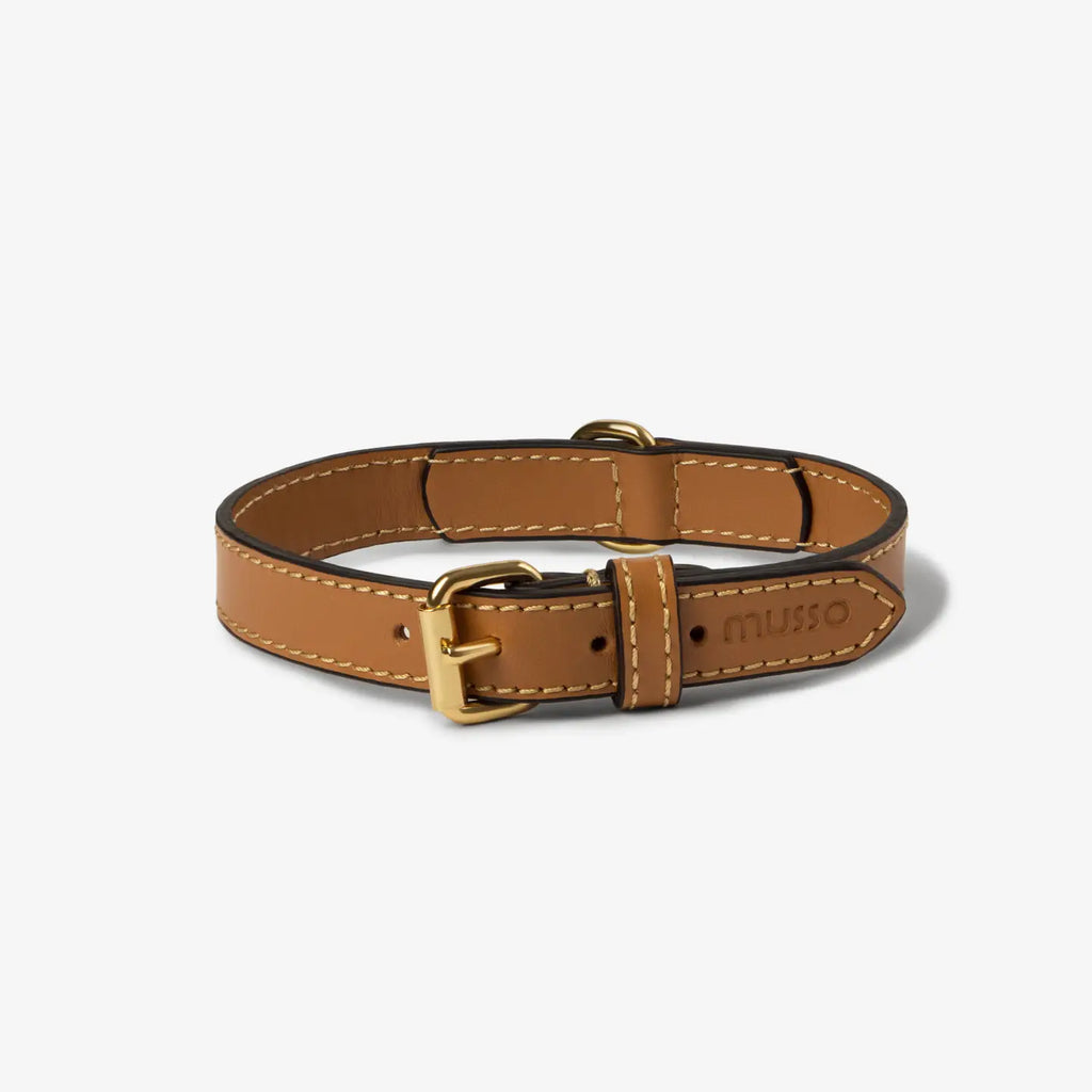 The Caramello Collar Set