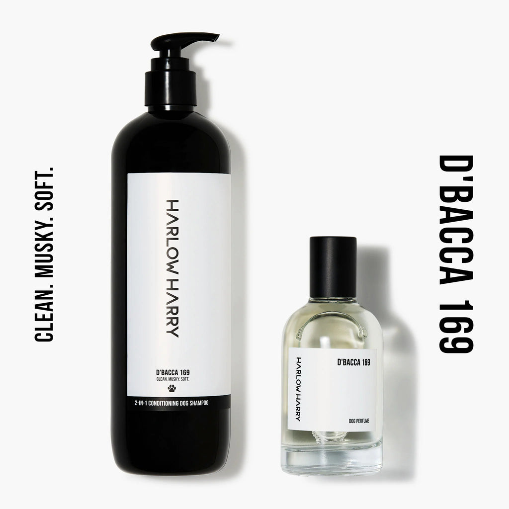The Set | D'Bacca 169
