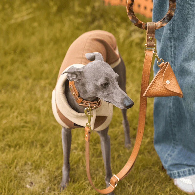 Amber Leather Dog Leash