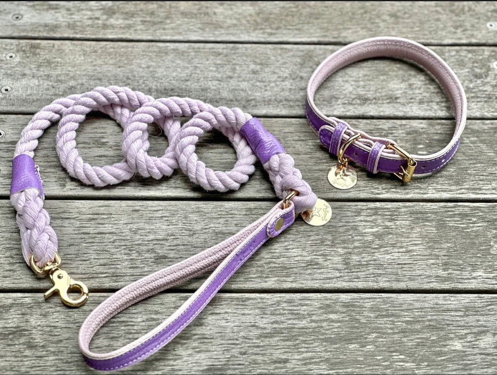 Handcrafted Leather Dog Collar