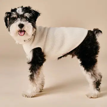 Ellie Sweater – White
