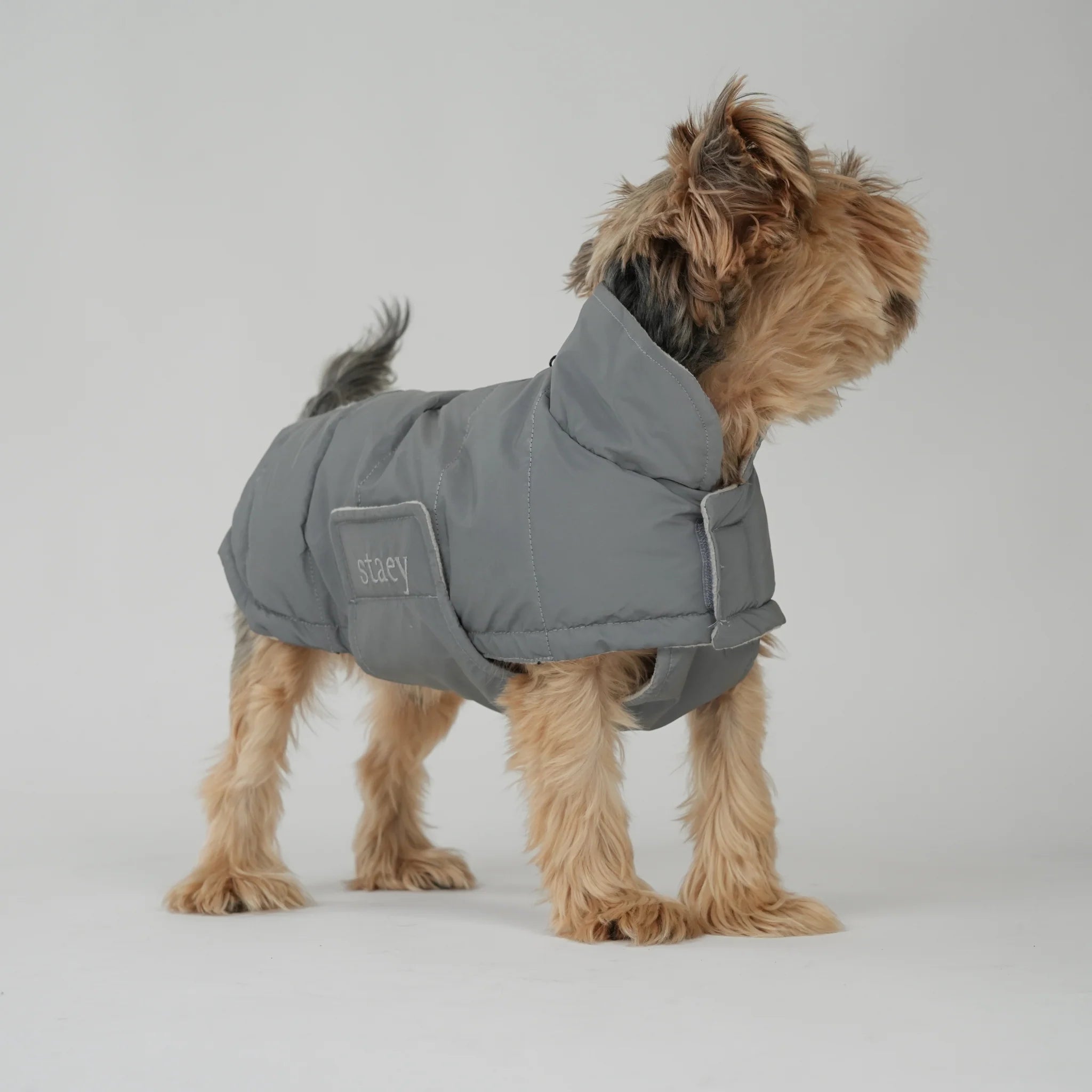 Nora Dog Coat | Reflective