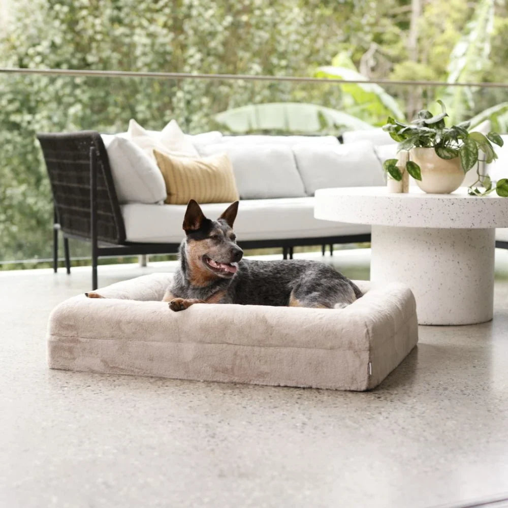 Memory Foam Dog Bed - Faux Fur Pearl