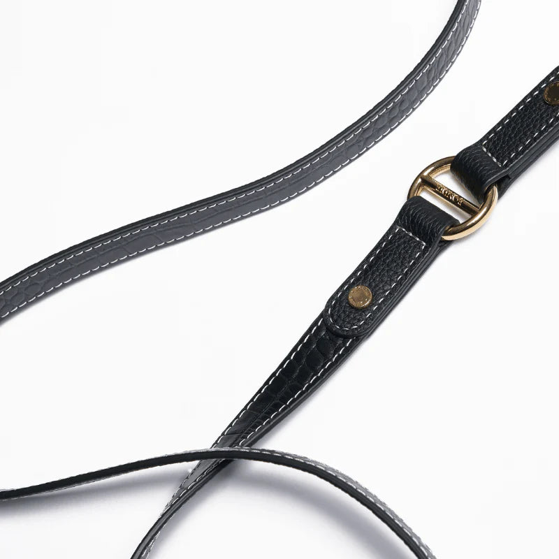 Obsidian Hands-Free Dog Leash