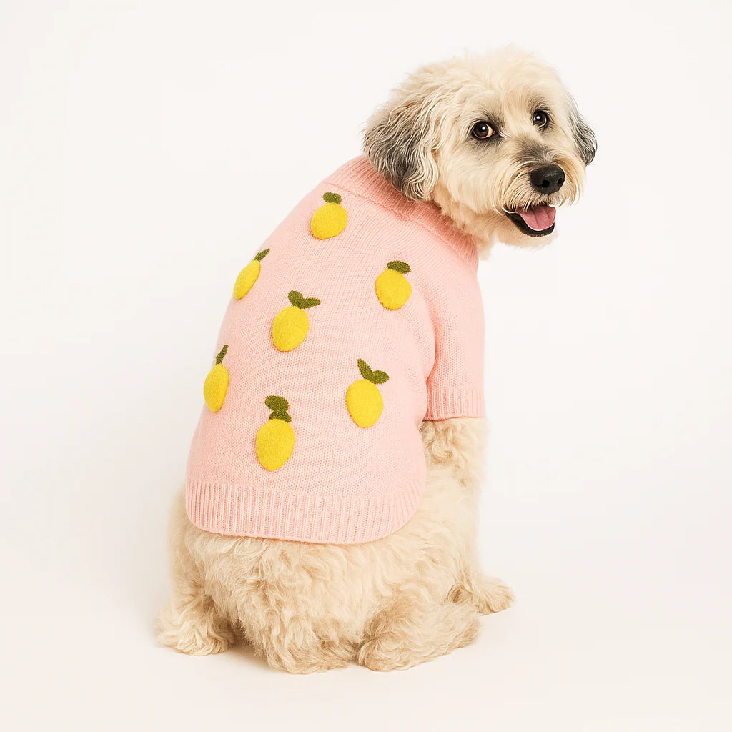 Lemon Sweater