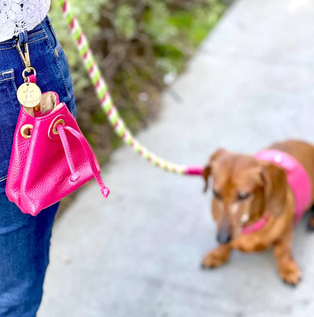 Luxe Leather Treat & Training Pouch