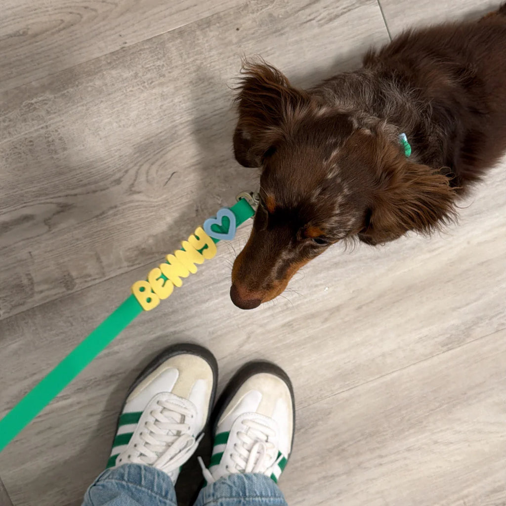 Waterproof Dog Leash + Collar Set