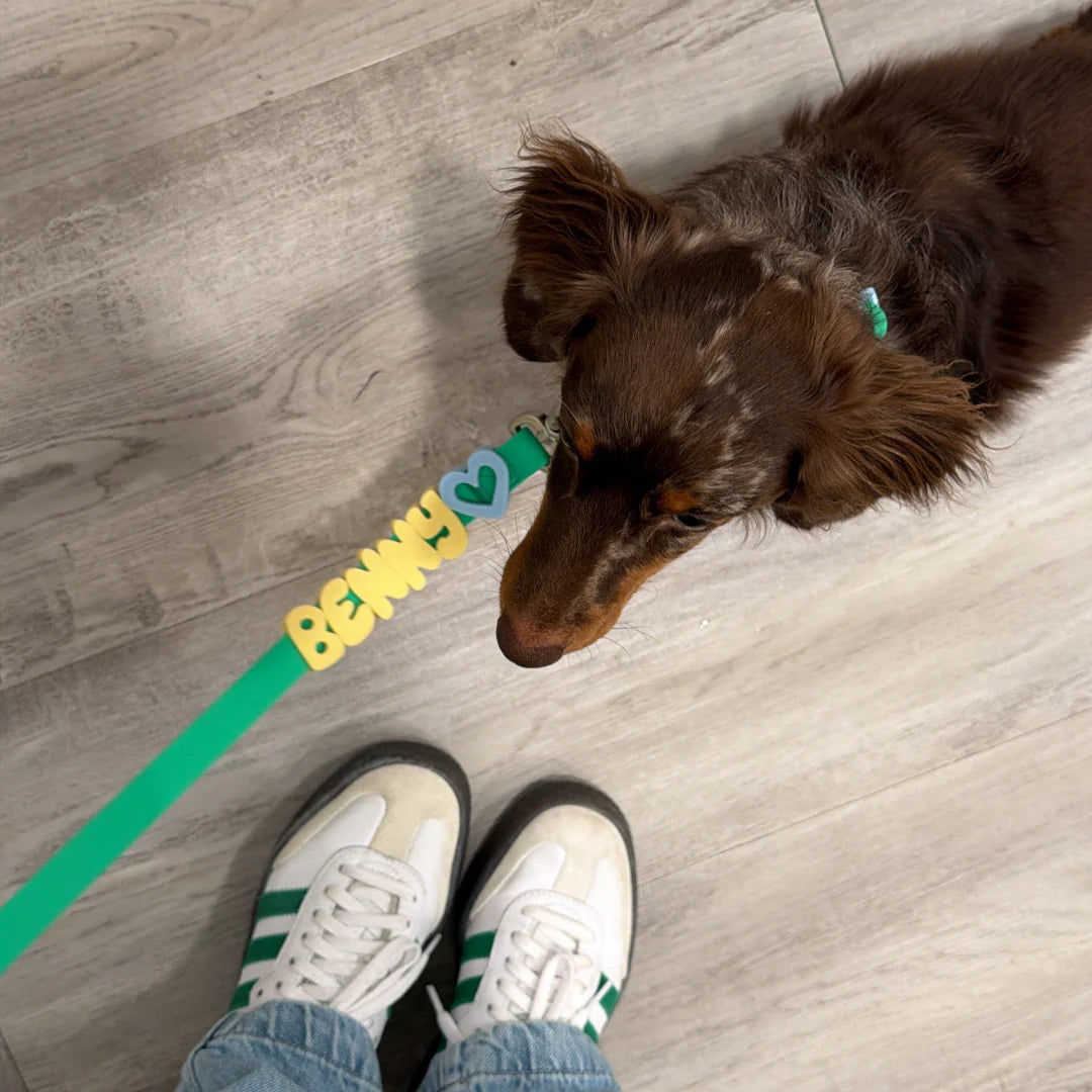 Waterproof Dog Leash + Collar Set