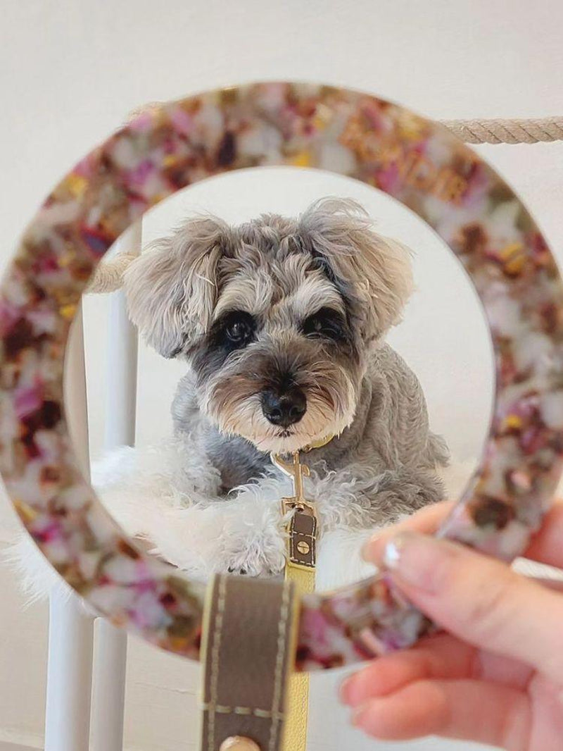 Rosy Leather Dog Leash