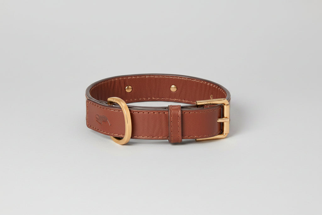 Ralph Lauren Dogs Leather Collar