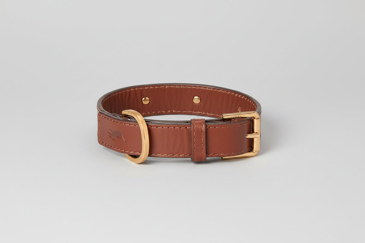 Ralph Lauren Dogs Leather Collar