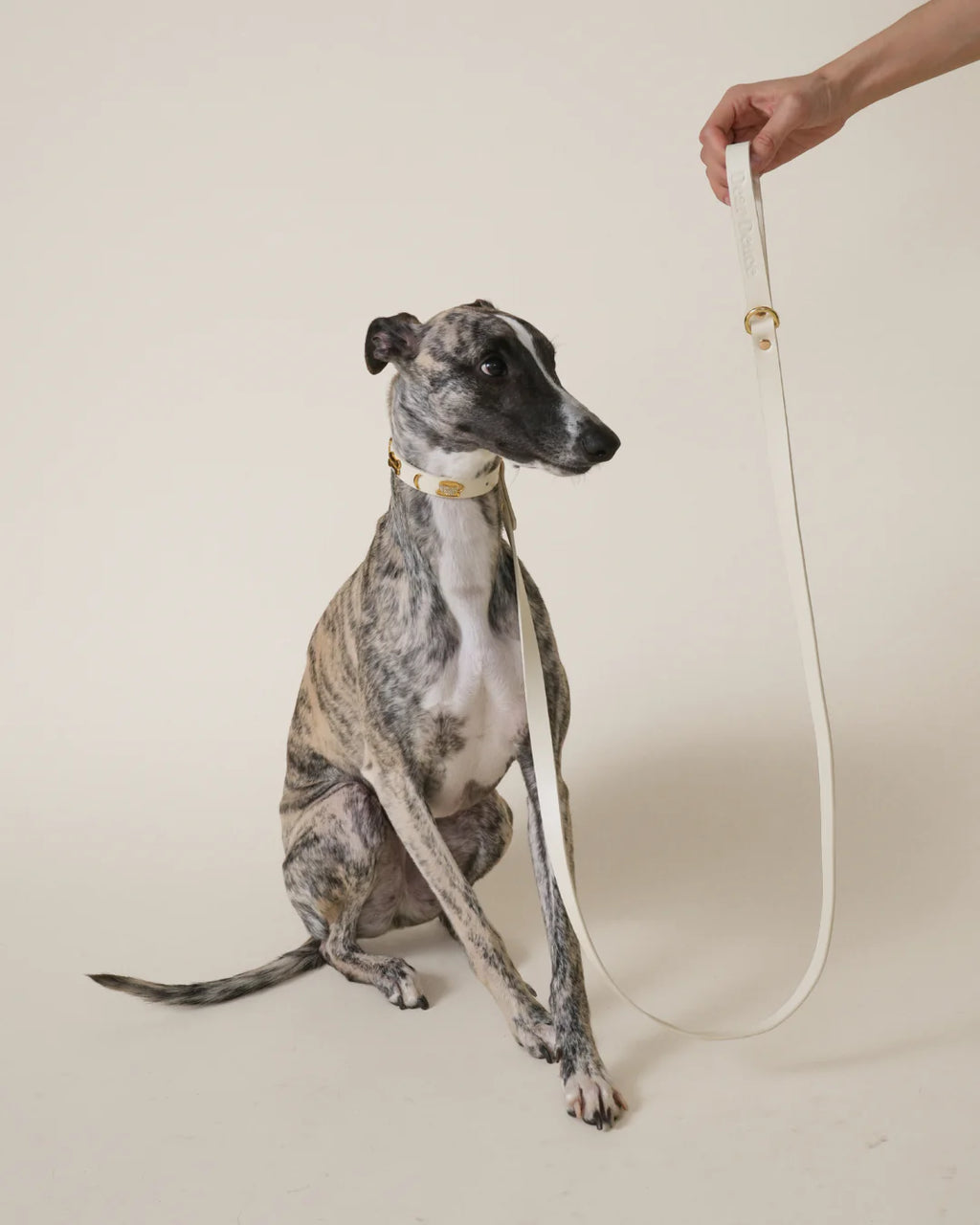 Couch Potato Leash