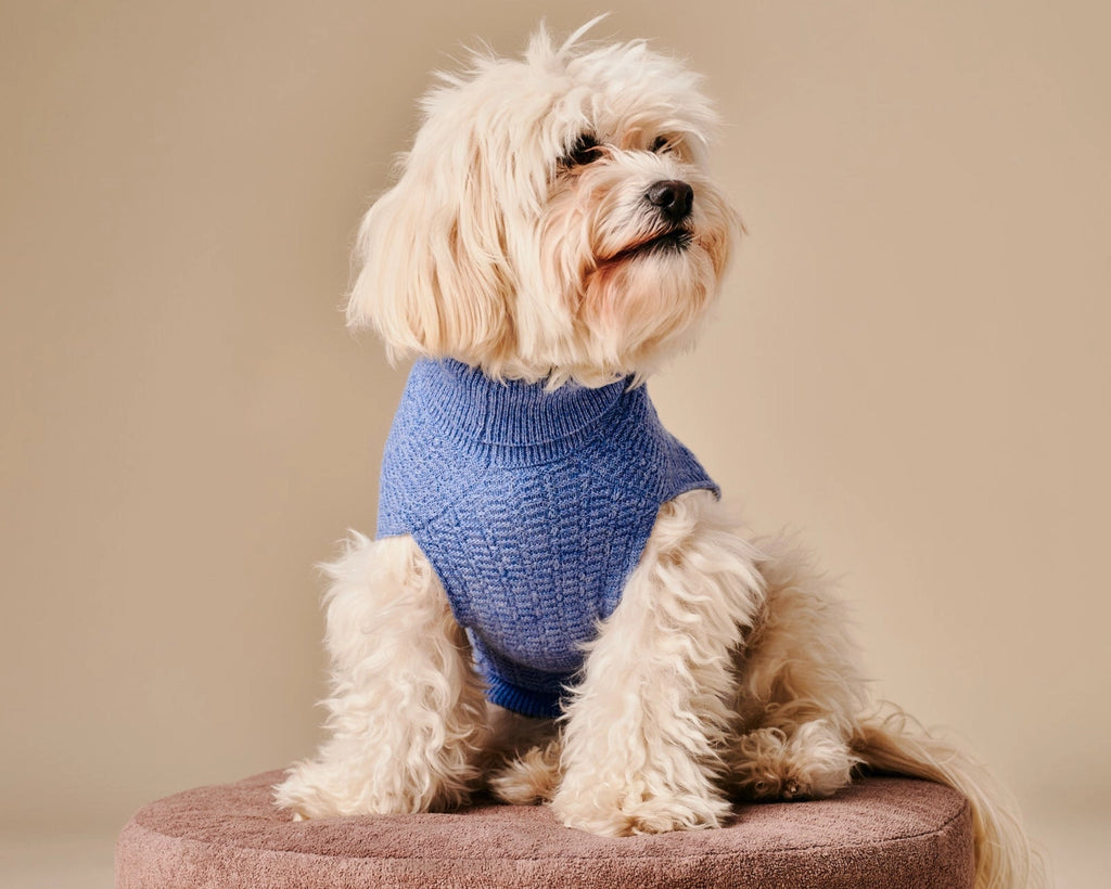 Coco Sweater – Blue