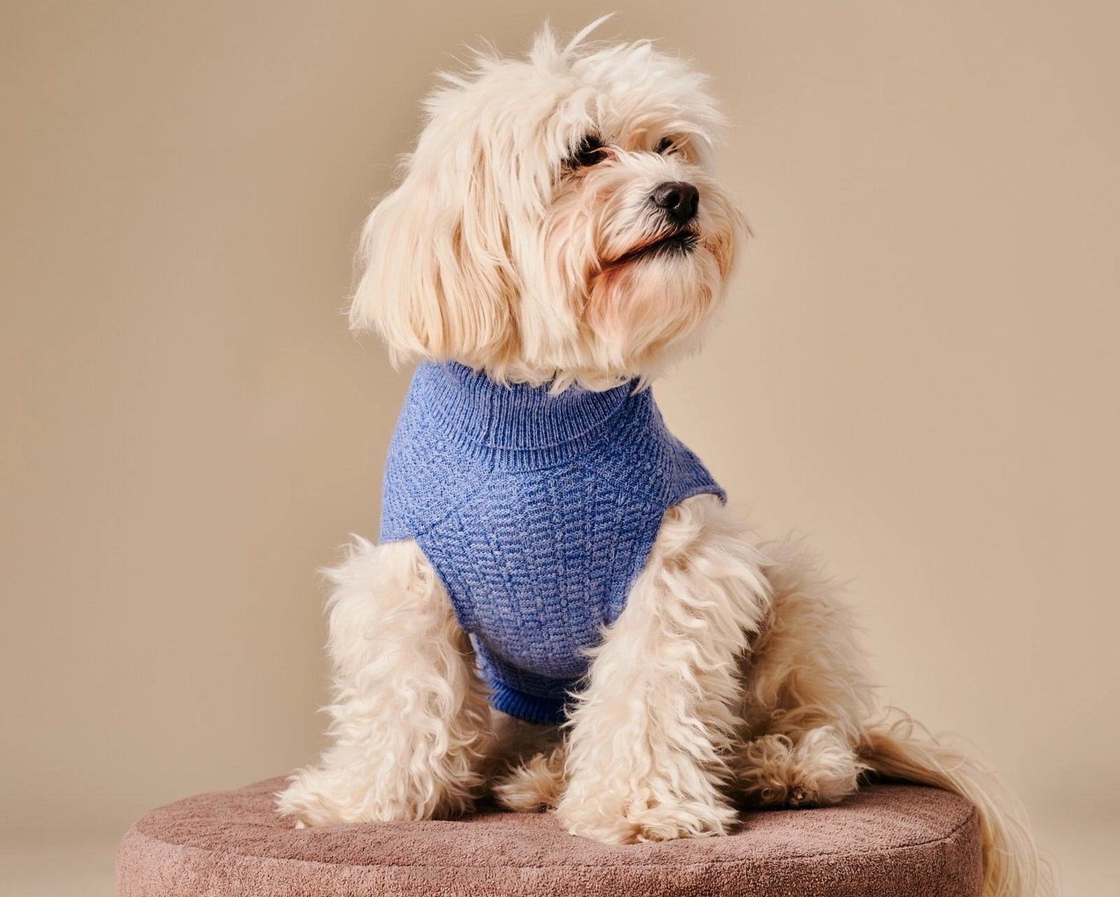 Coco Sweater – Blue
