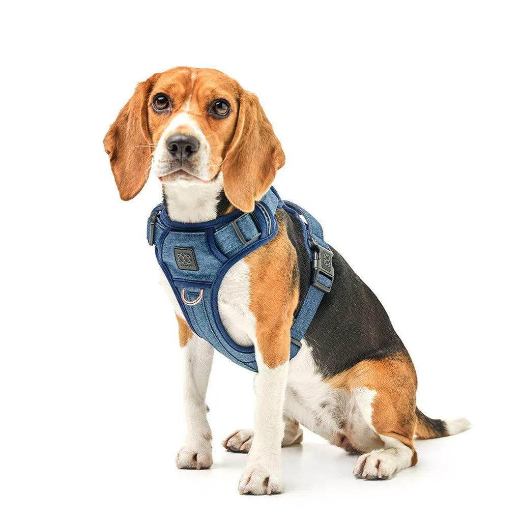 Nomad Adjustable Dog Walking Set - Denim