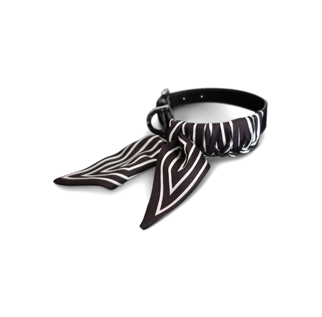 Dog Collar Twilly Stripes - Black