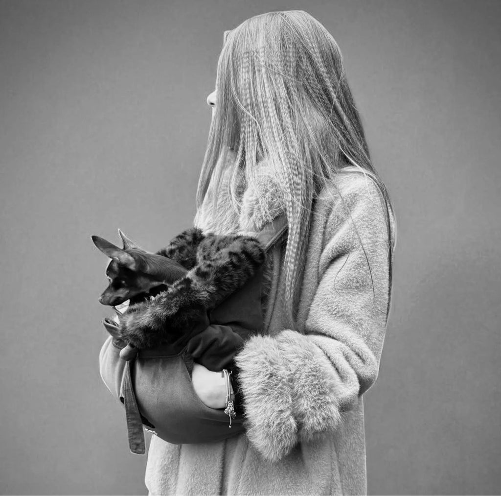 Pink Velvet & Eco-Fur Dog Carrier