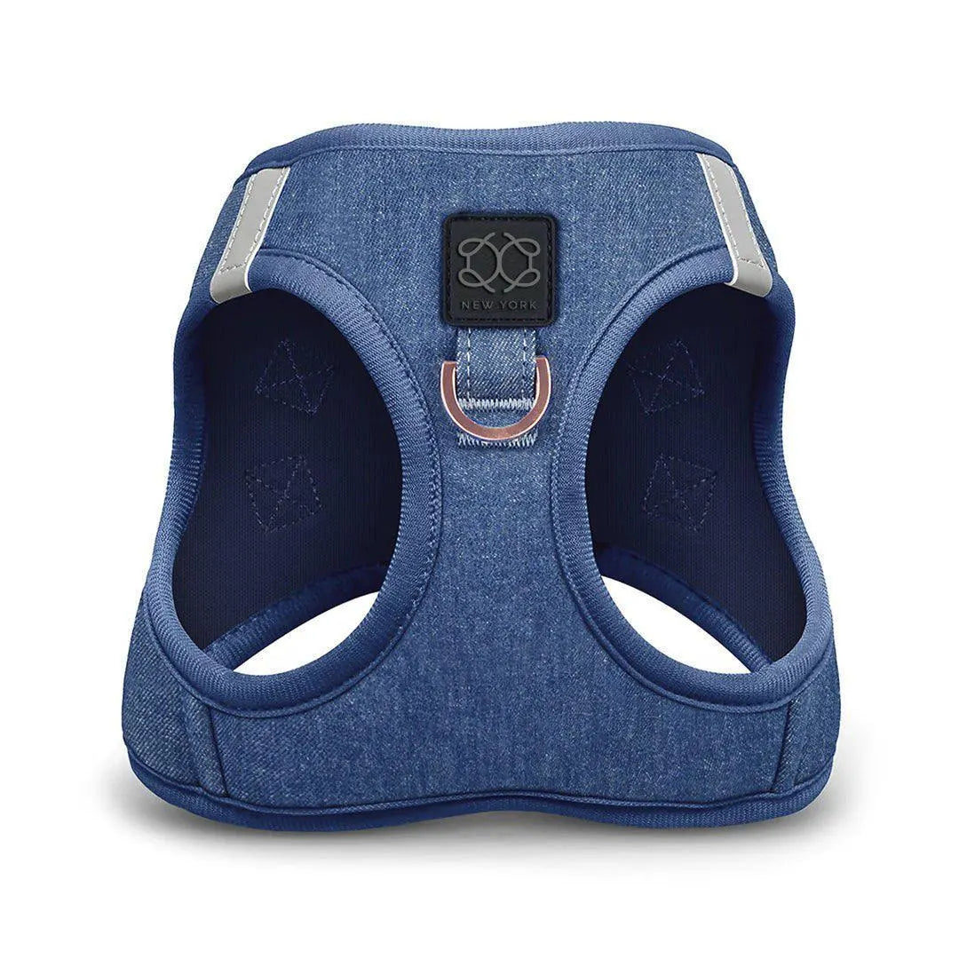 Soho Dog Walking Set - Denim