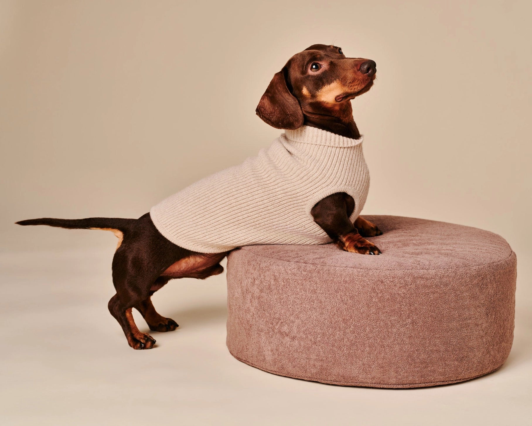 Ellie Sweater – Beige