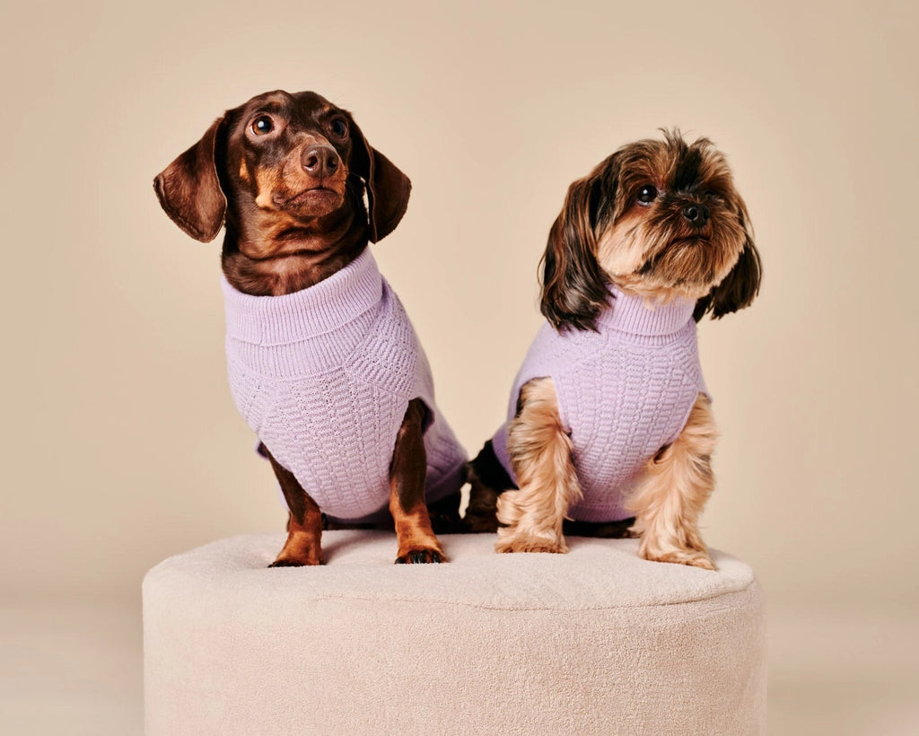 Coco Sweater – Purple