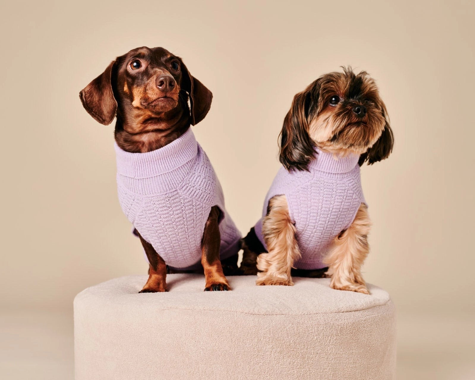 Coco Sweater – Purple