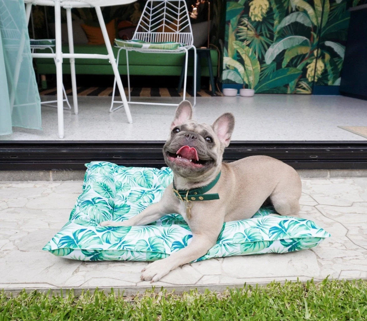 Dog Cooling Bed - Tropical Print
