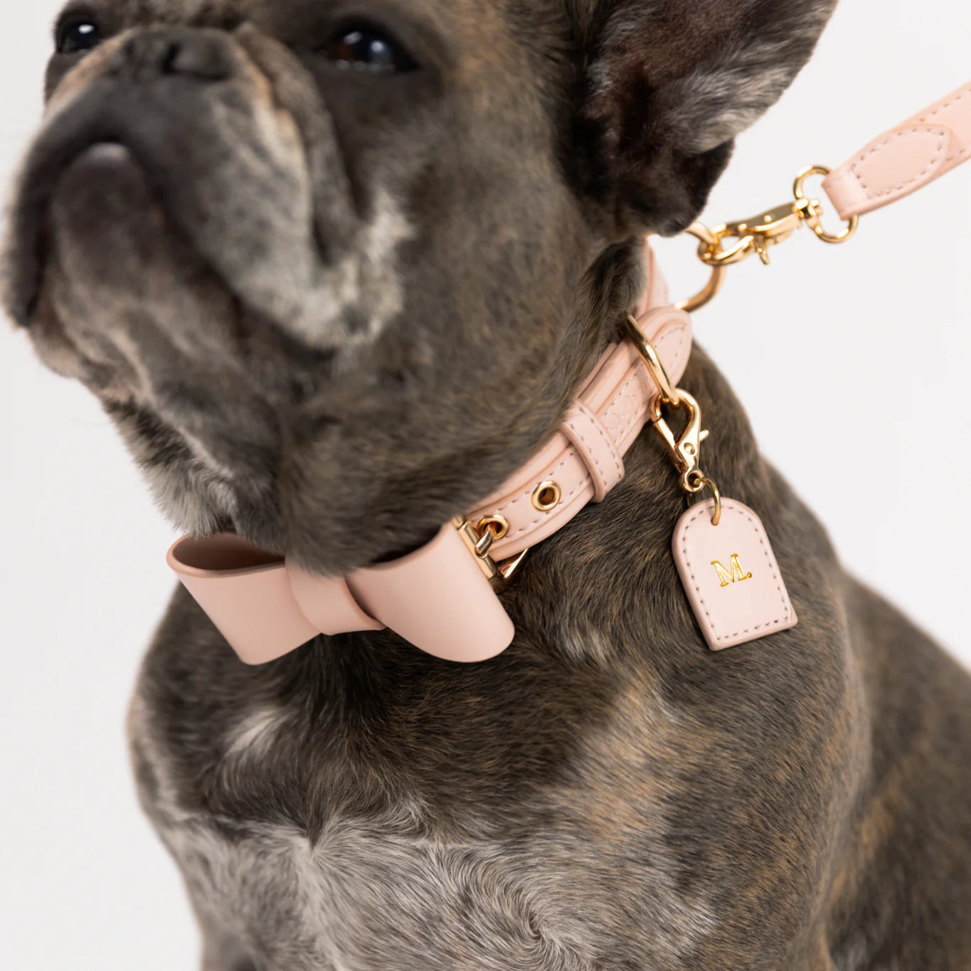 Rose Quartz - Vegan Leather Collar