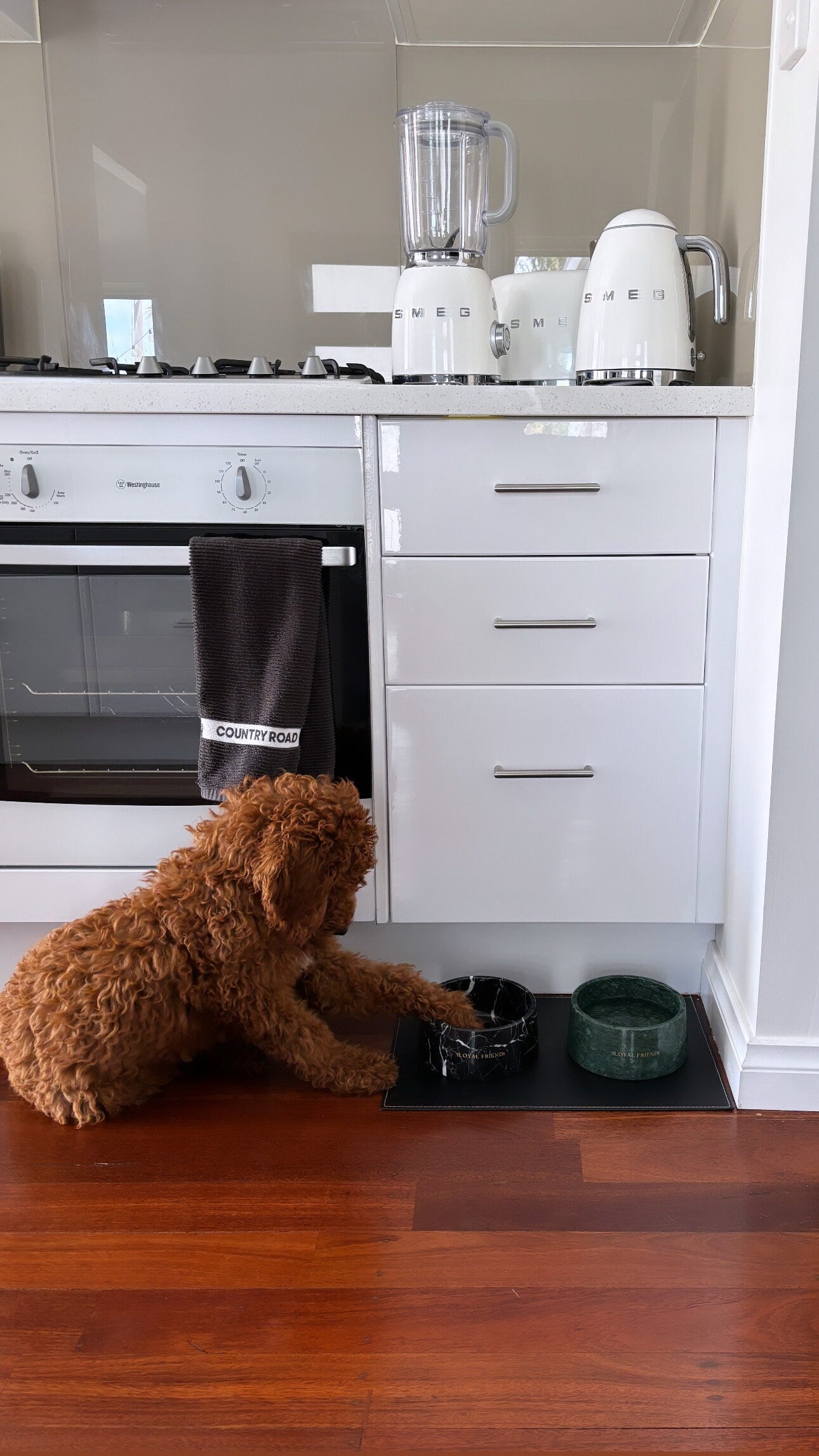 Nocturne Noir Marble Pet Bowl: Luxury Dog Bowl
