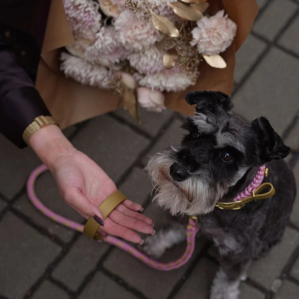 Flor Blush Pink Leash