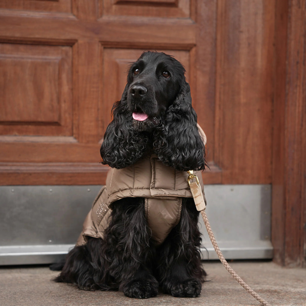 Nora Dog Coat | Taupe